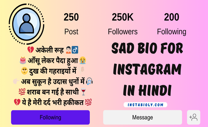 instagram bio hindi