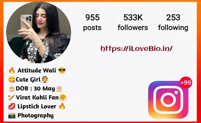 instagram bio