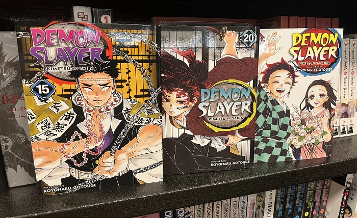 demon slayer kimetsu no yaiba manga