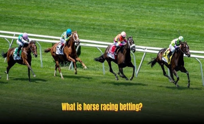 Horse Racing