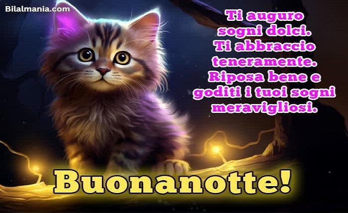 buonanotte immagini